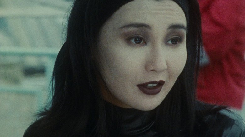 Gallery image from nCnEswYV5DvhkqlU1hrOcj7U3Nd.jpg