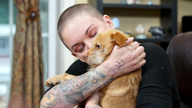 Still image for Amanda to the Rescue season 1 episode 1: Wildfire Puppy Rescue Still image for Amanda to the Rescue season 1 episode 1: Wildfire Puppy Rescue