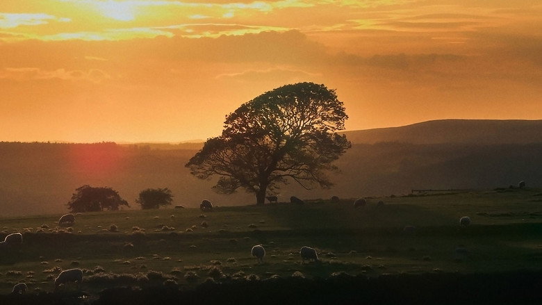 Inside Britain’s National Parks: 1×4