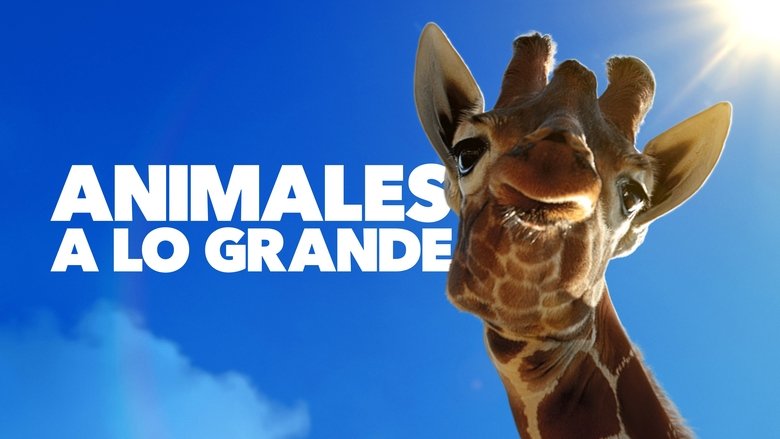 Gallery image from nDZ0EzmIjsP53SH9gPKigX7V6jh.jpg