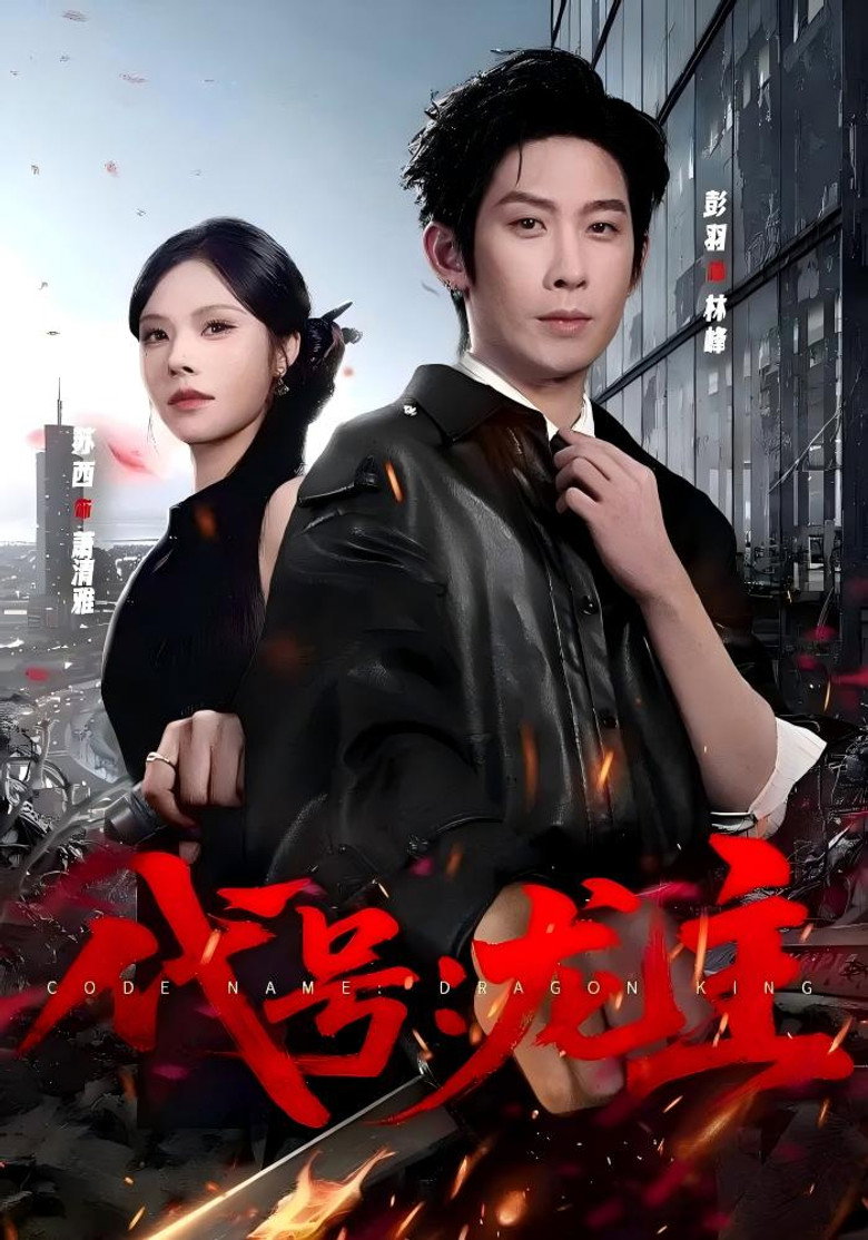 代号：龙主 (2026) poster