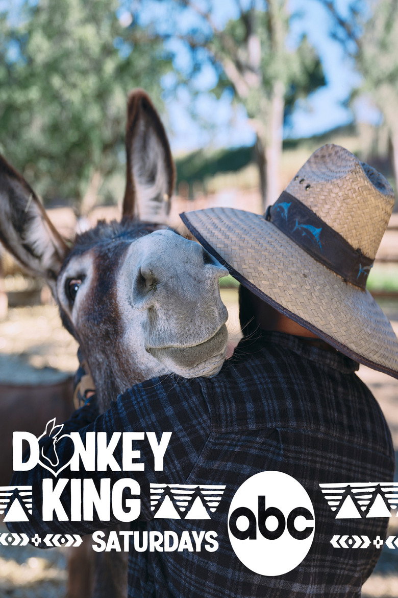 Official poster for Donkey King