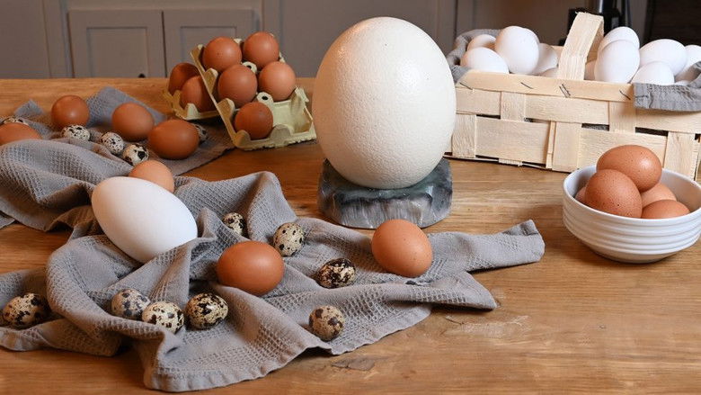 Still image for Escuela Canal Cocina season 1 episode 1: Episode 1