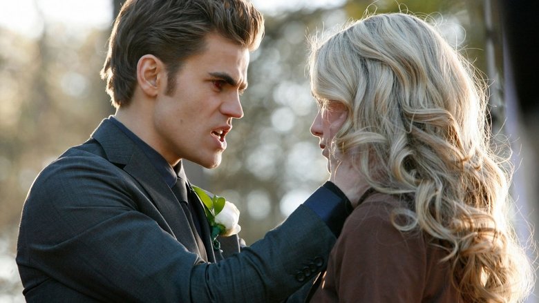 The Vampire Diaries Season 1 Episode 19 The Vampire Diaries Sezonul 1 Episodul 19 Online Subtitrat in Romana