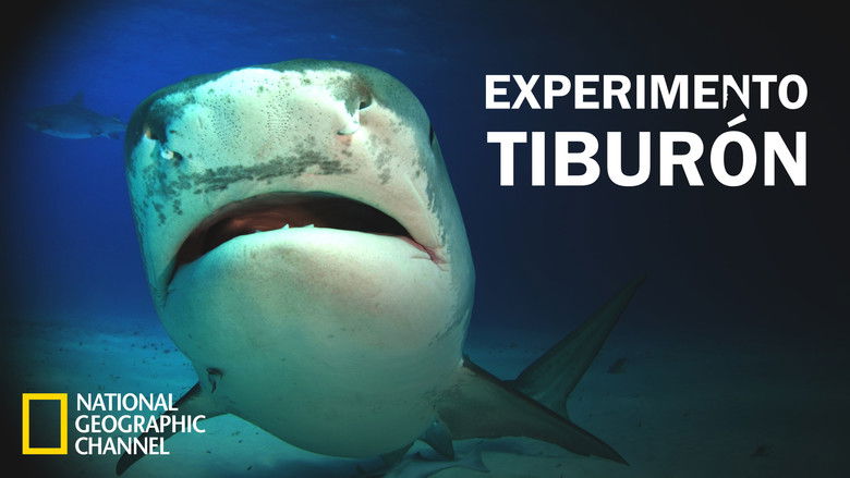 Gallery image from nFfzVGLgaR1Sz9KfSD08gkBPhsi.jpg