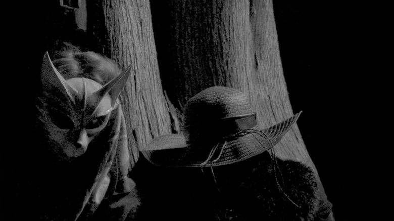 Imatge de Cold Days From the Treetops