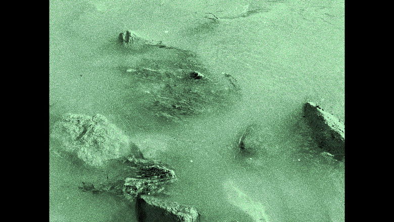 Gallery image from nGgQaM2z6fbLBH5eOkA5Uld4Xyn.jpg