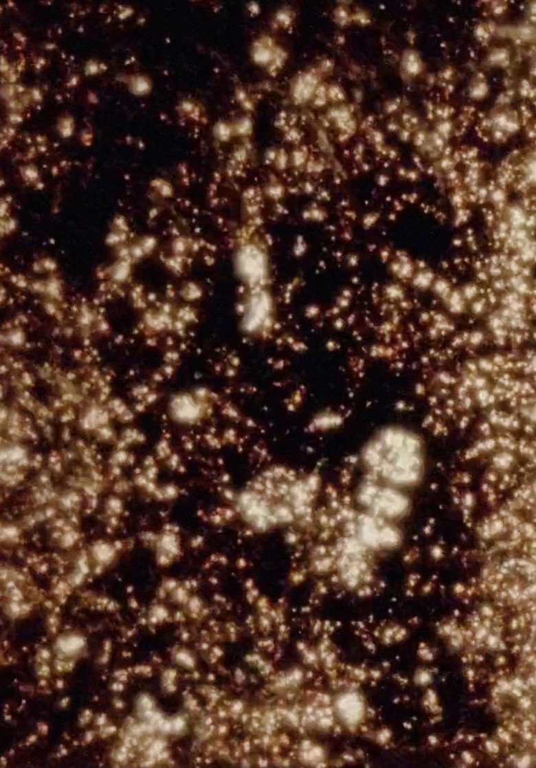 Imatge de Instabile Materie