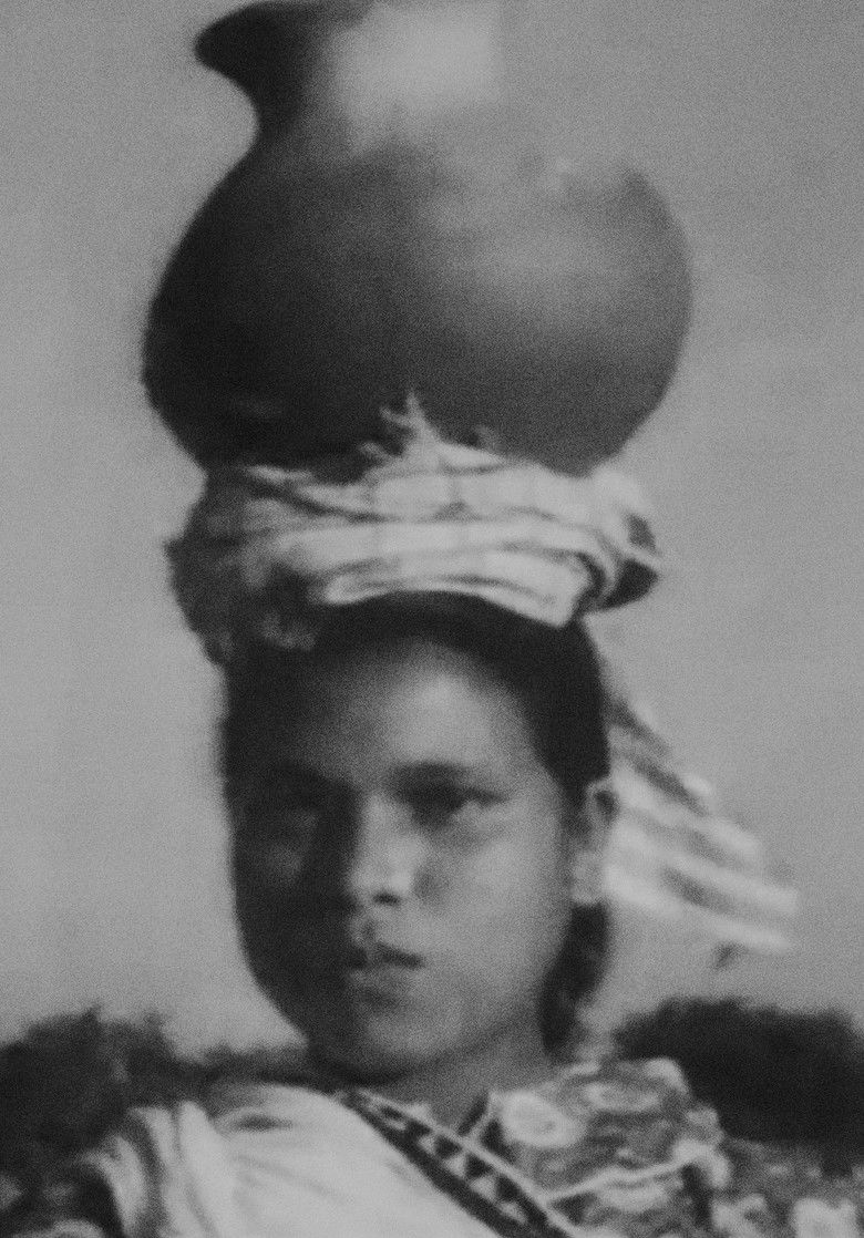 Imatge de The Life of the Adivasis