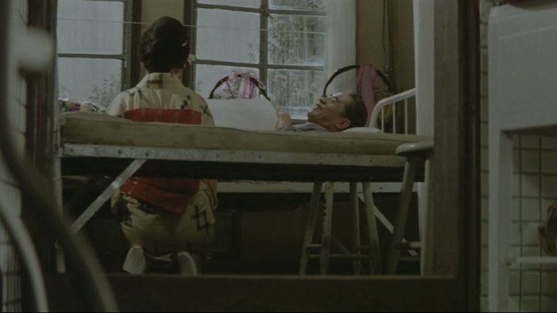 A Geisha's Diary (1961)