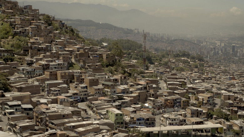 Imatge de Provisorum