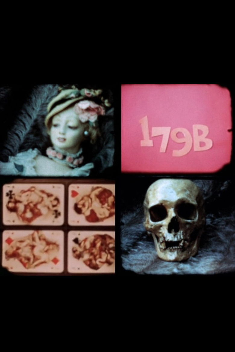 Imatge de 4 X 8 = 16