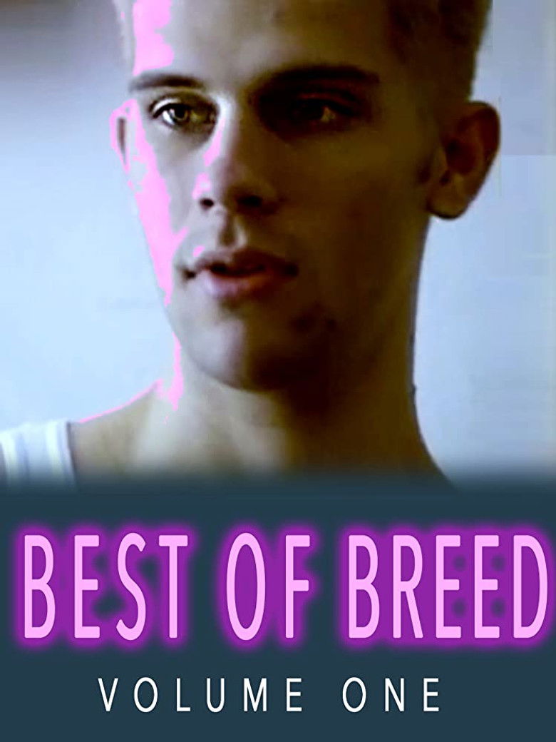 Imatge de Best of Breed Volume 1