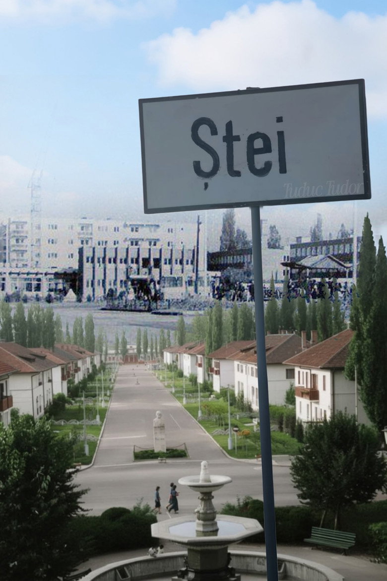 Imatge de Ștei