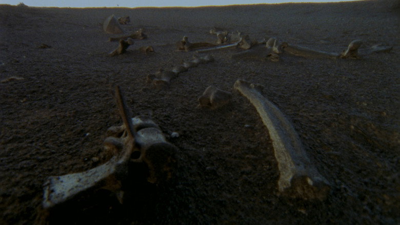 scenes 27