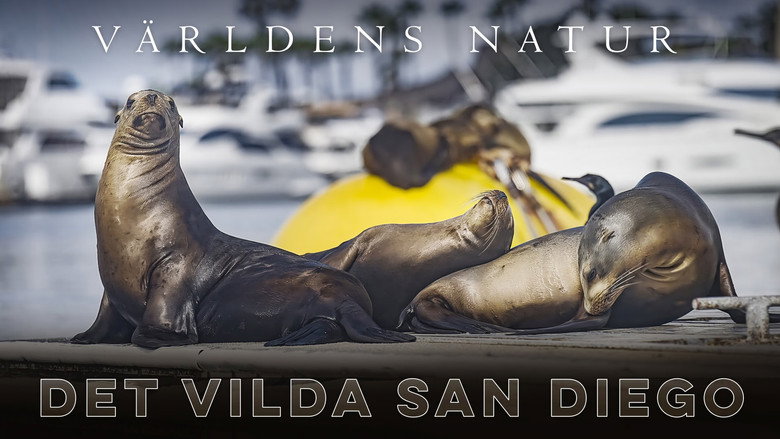 San Diego: America's Wildest City image 3
