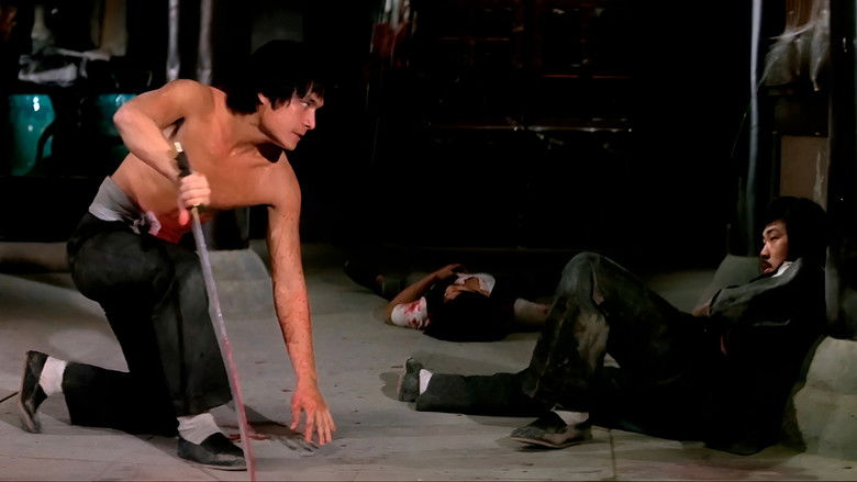 The New Shaolin Boxers backdrop 1