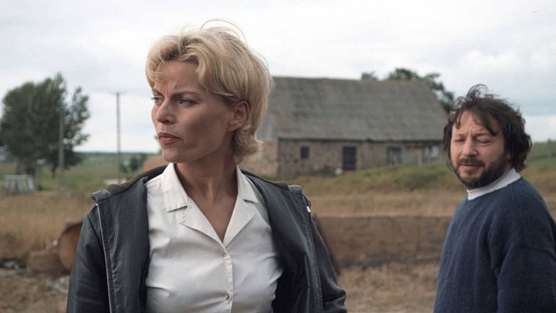 Gallery image from nLL7ohrQRjeC9WuGIOKBYduSwqT.jpg