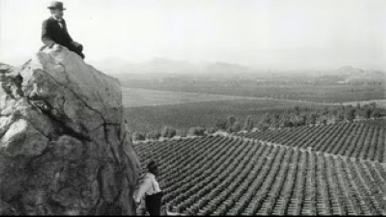 Monomania L.A.