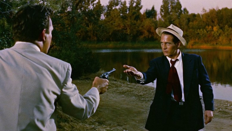 El largo y cálido verano