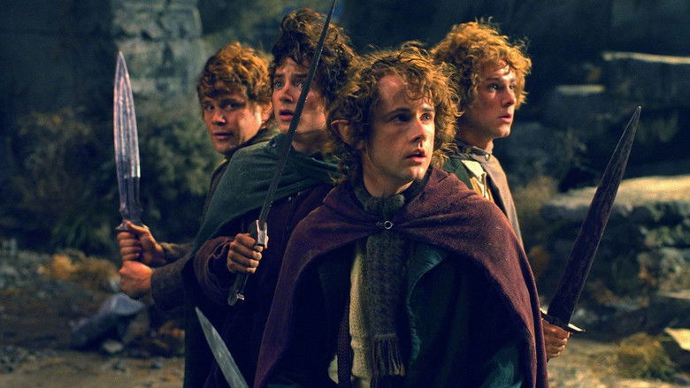 Backdrop de El Senyor dels Anells - Col·lecció