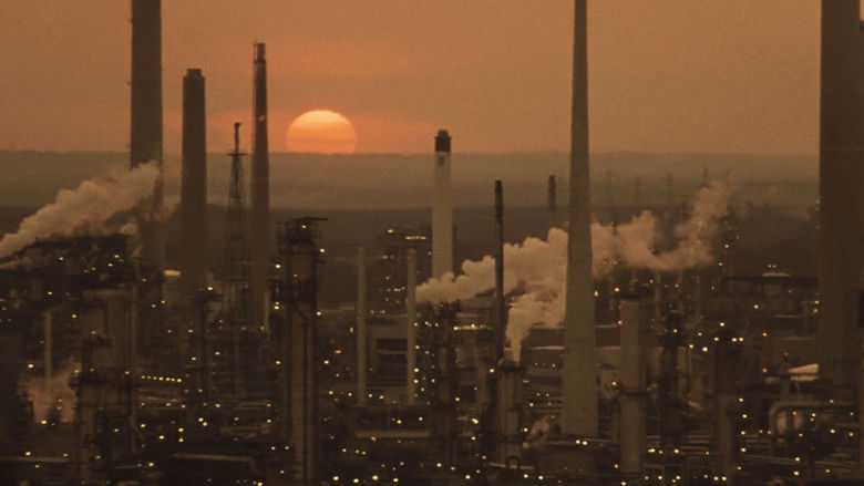 Gallery image from nM5vtDbKaVZd1l2cO9YxoLjU4la.jpg