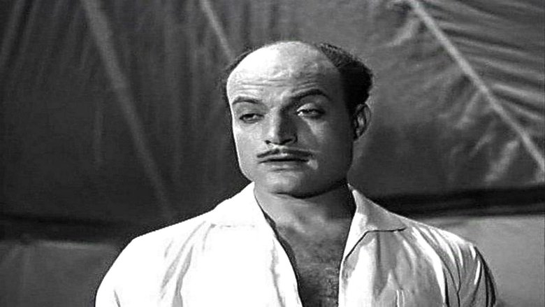 Gallery image from nO8OveqSK29rZ2RGw8H10aqyJPT.jpg