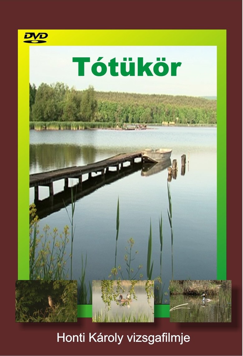 Tótükör main poster