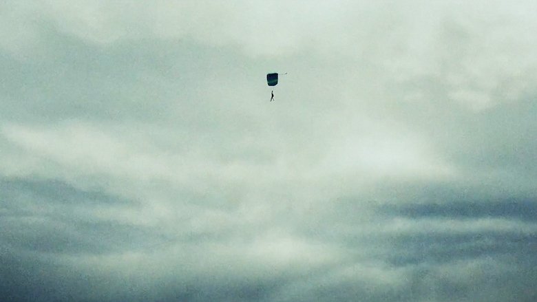 Jimi Could Have Fallen from the Sky (2017)