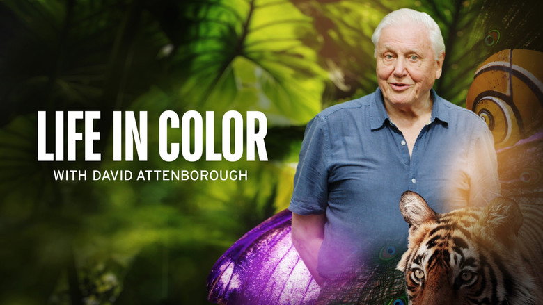 Attenborough's Life in Colour