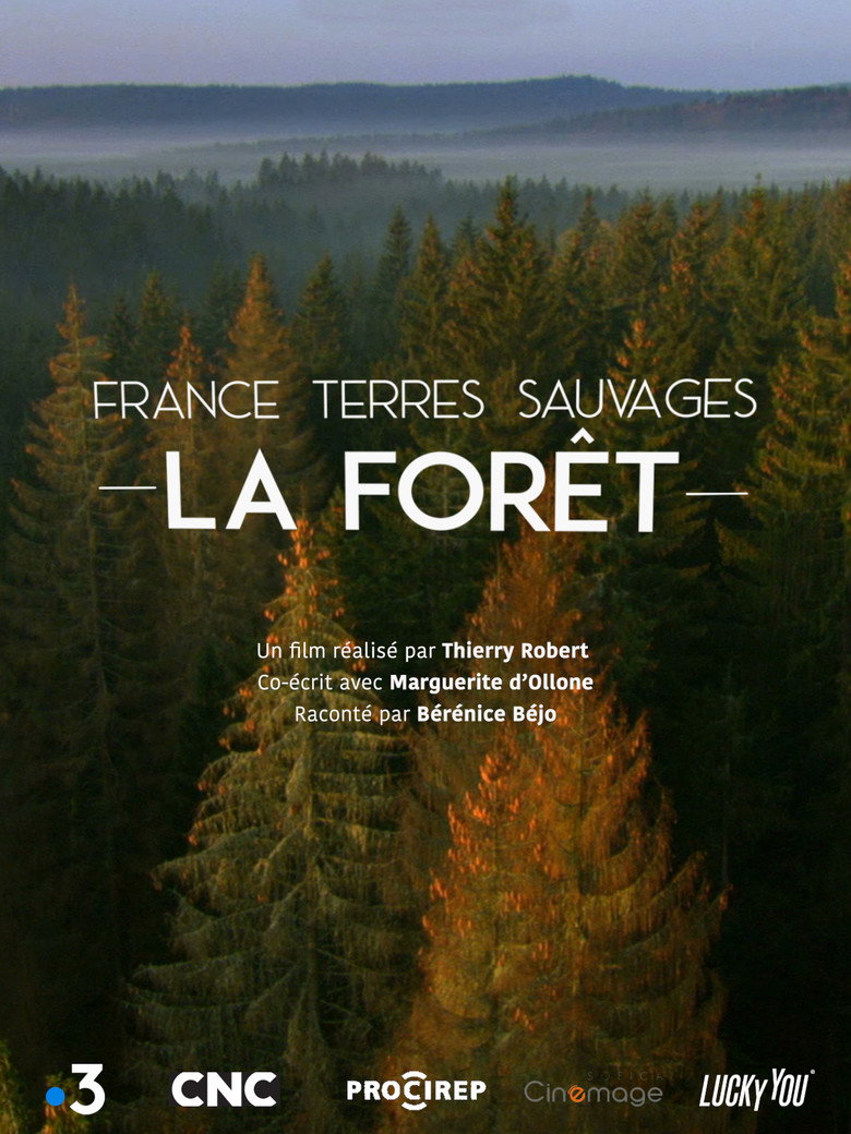Imatge de France terres sauvages : La Forêt