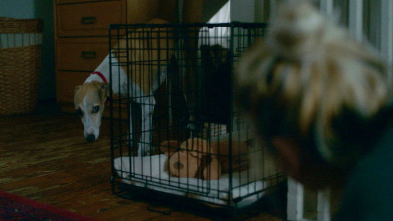 Image d'arrière-plan 4 du film The Heirloom