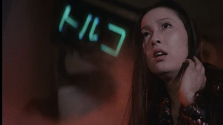 Imatge de 怪猫トルコ風呂