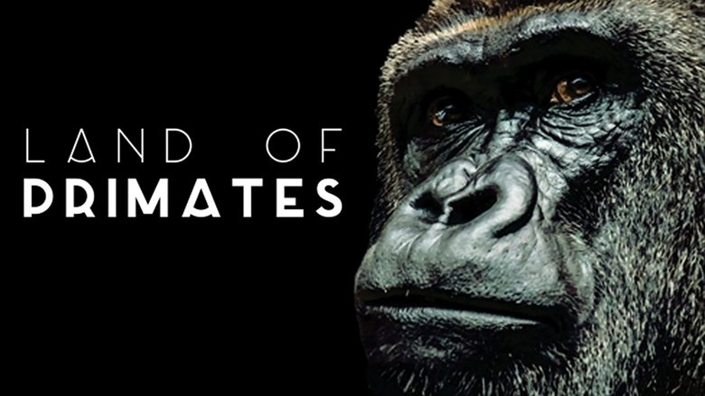 Land of Primates backdrop