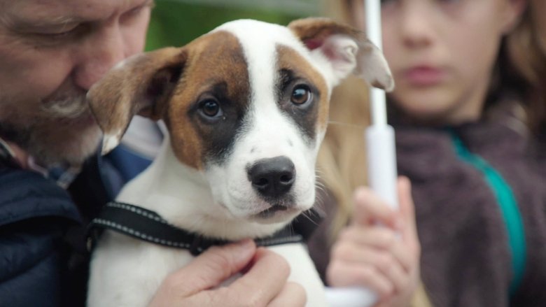 Still image for The Dog House NZ season 1 episode 1: Episode 1 Still image for The Dog House NZ season 1 episode 1: Episode 1