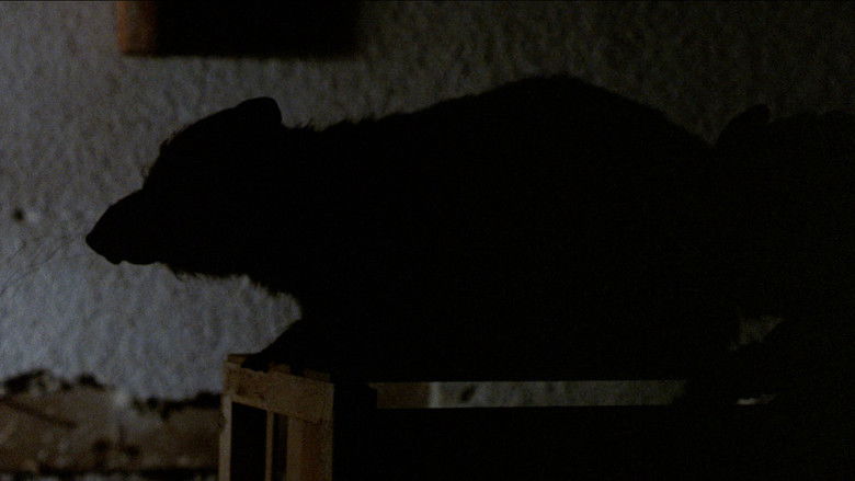 Imatge de Deadly Eyes