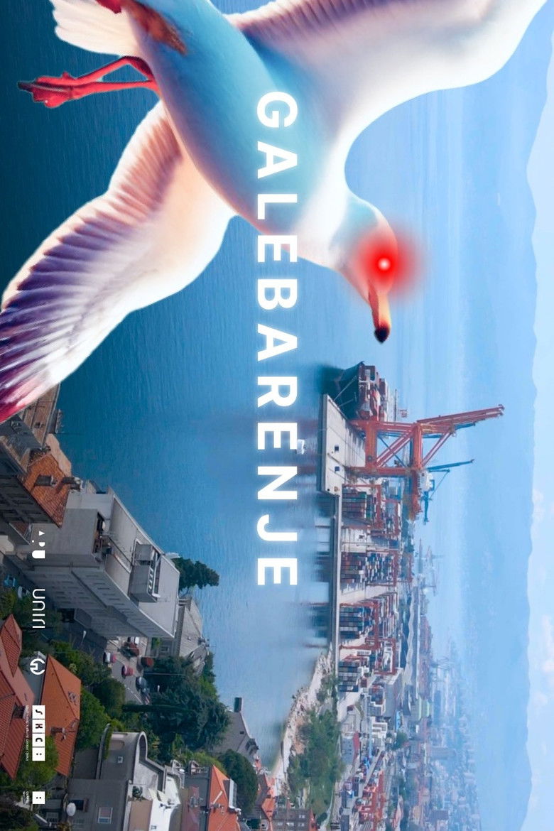 Imatge de Galebarenje