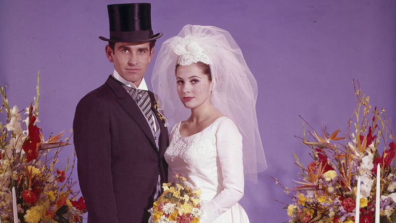 Gallery image from nRWv8yQYBJ1GgjWzpAnpUinncyo.jpg