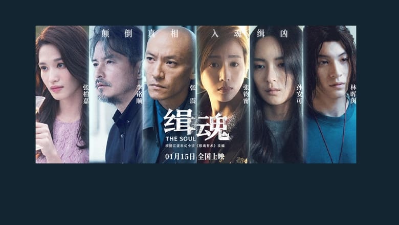 watch 辑魂 now