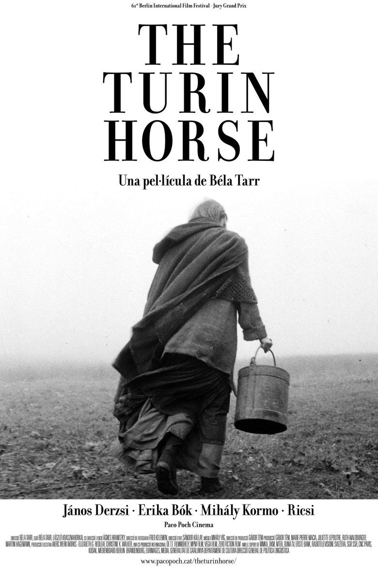 Imatge de El cavall de Torí