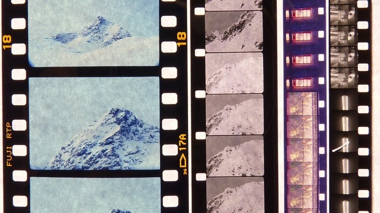 Gallery image from nT6WqOj4MisHL5RMvmuTndSTVeN.jpg