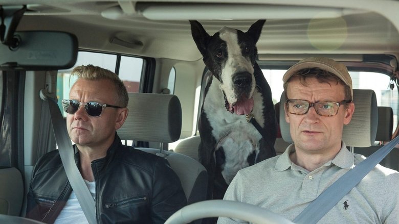 Gallery image from nUTcd0Z74kMLKJFD7kUgnrLruS2.jpg