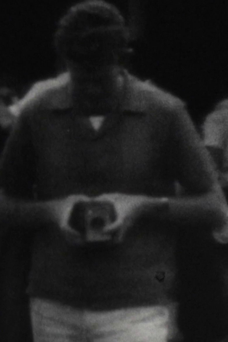 Imatge de Polly-nesians at play