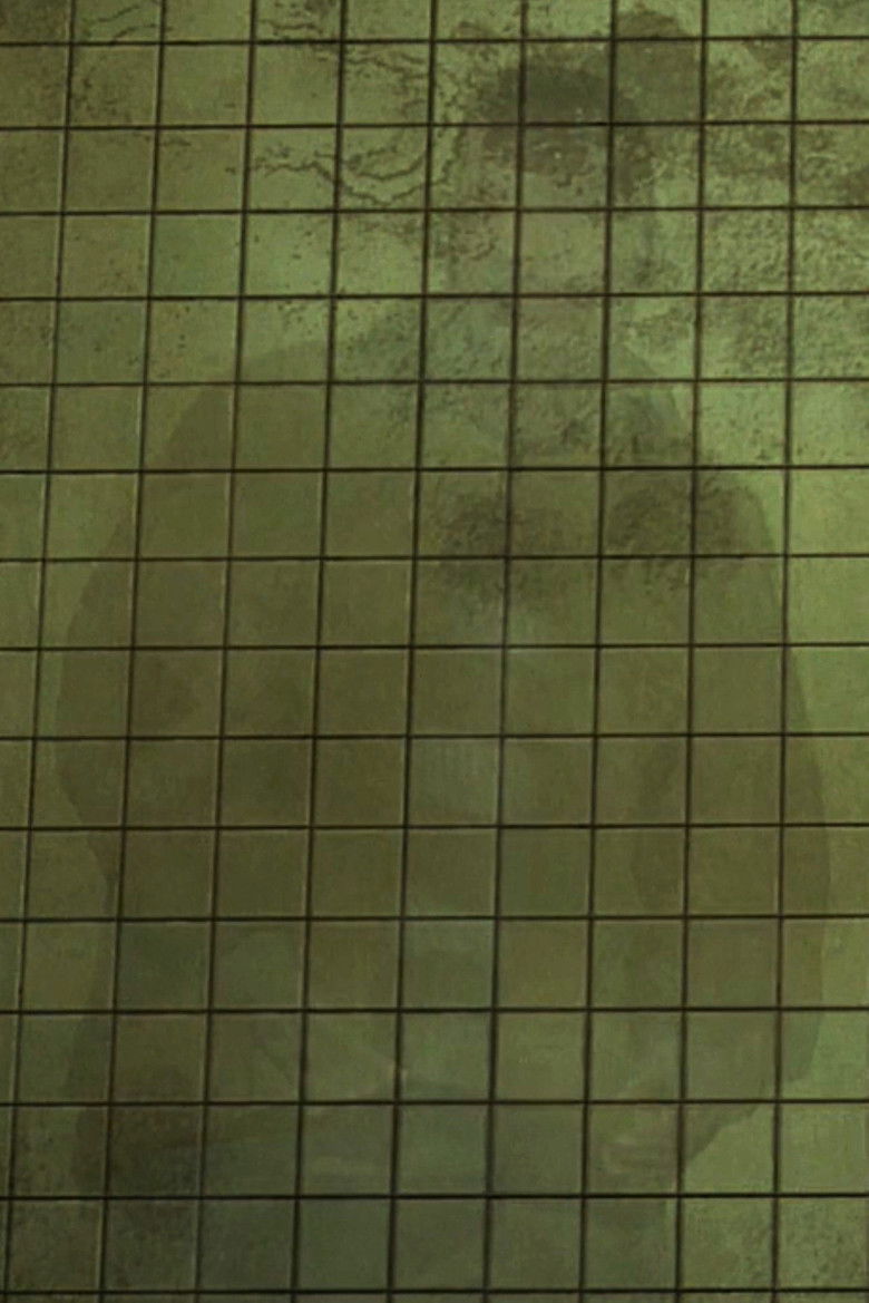 Imatge de Perpetual Spawning