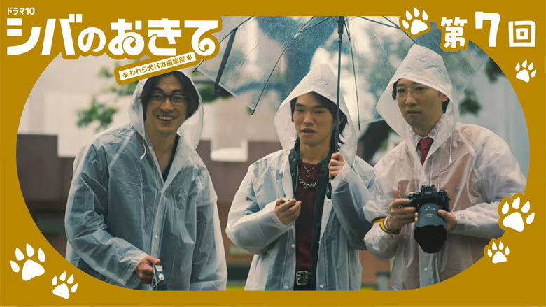 Still image for Shiba no Okite: Warera Inu Baka Henshu Bu season 1 episode 7: Episode 7