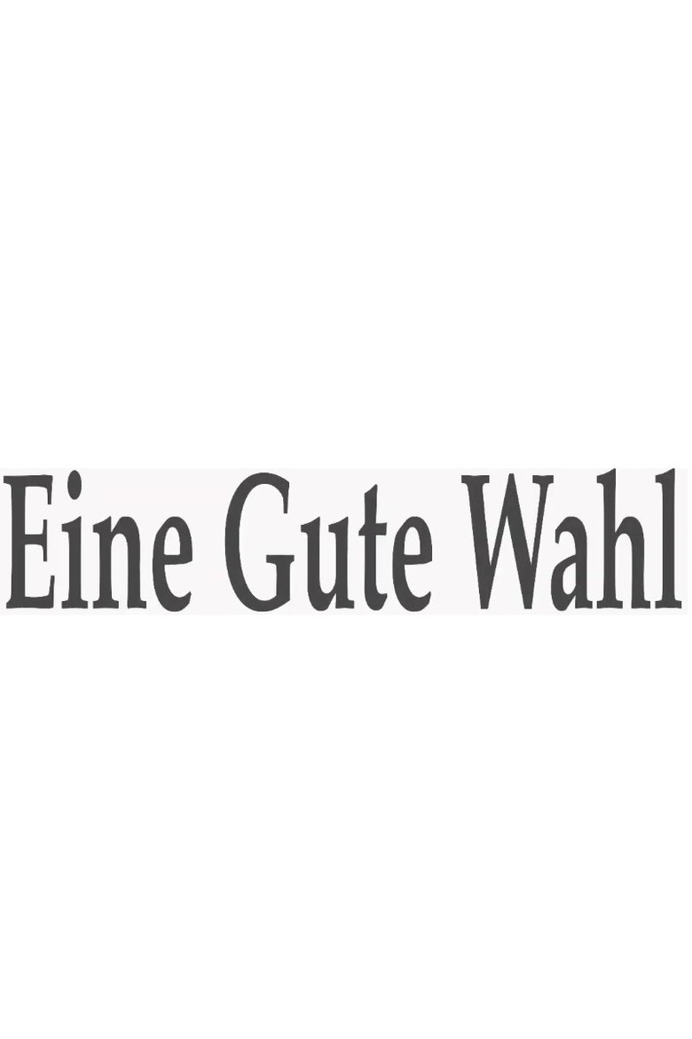 Eine gute Wahl main poster