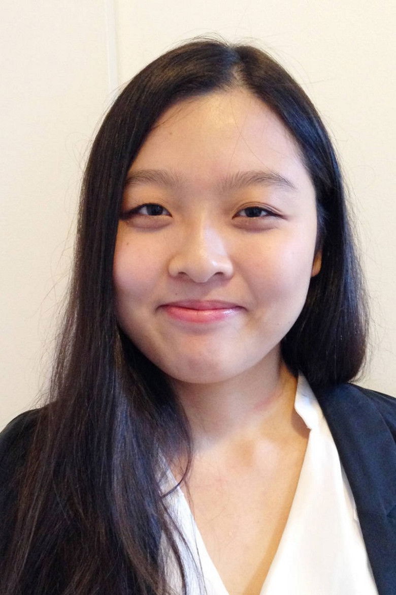 Wang Jing portrait image