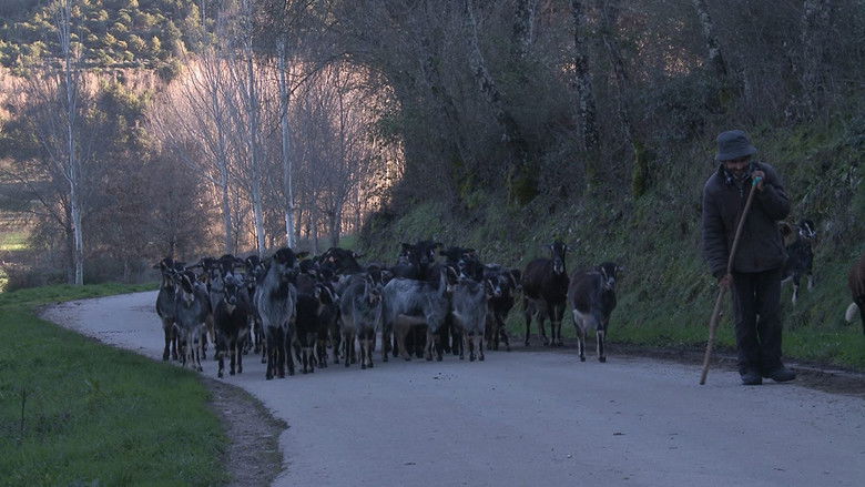 Gallery image from nWZBe1Ce0Otd7HEViLQFS3WcnlF.jpg