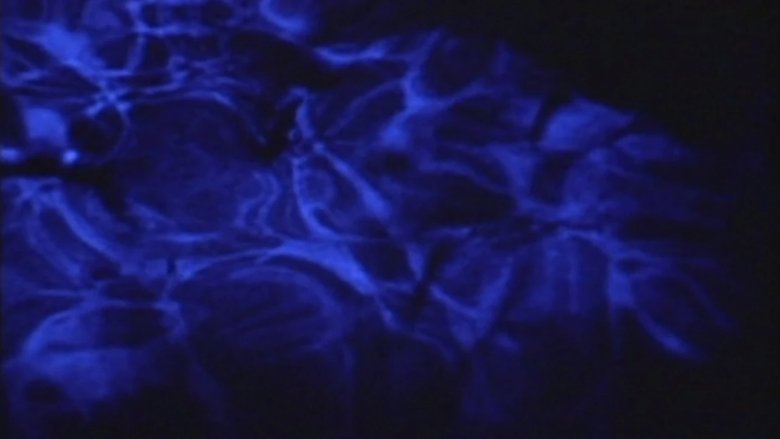 Psalm I: The Lateness of the Hour (1999)