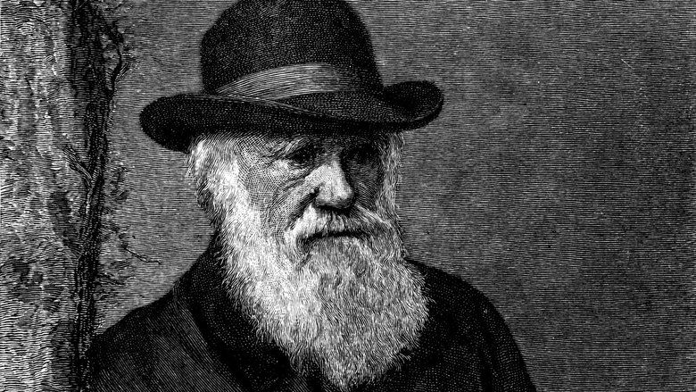 Charles Darwin'in Dehası